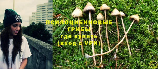 винт Армянск