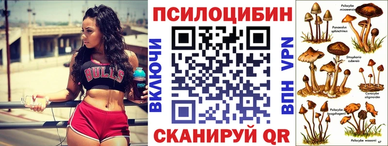 где найти   Таруса  Галлюциногенные грибы мухоморы 